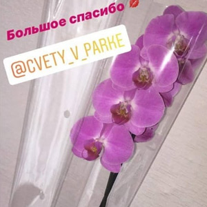 Отзывы наших покупателей