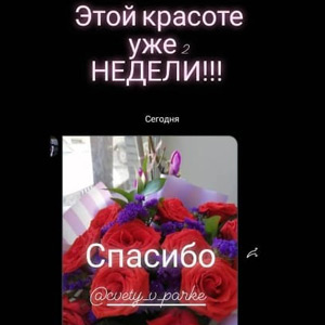 Отзывы наших покупателей